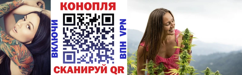 Конопля ГИДРОПОН  где продают наркотики  Шилка 
